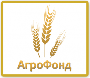 Термінал АФ